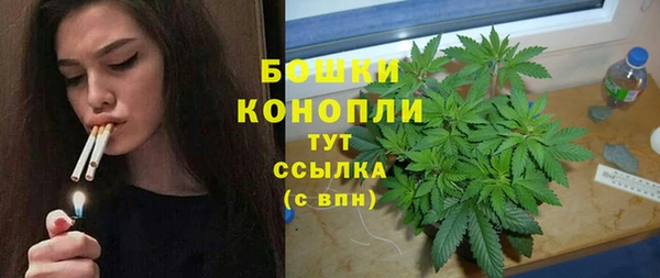 прущий лед Михайлов