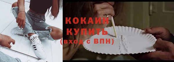 прущий лед Михайлов