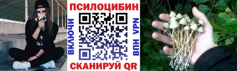 купить Симферополь Галлюциногенные грибы MAGIC MUSHROOMS