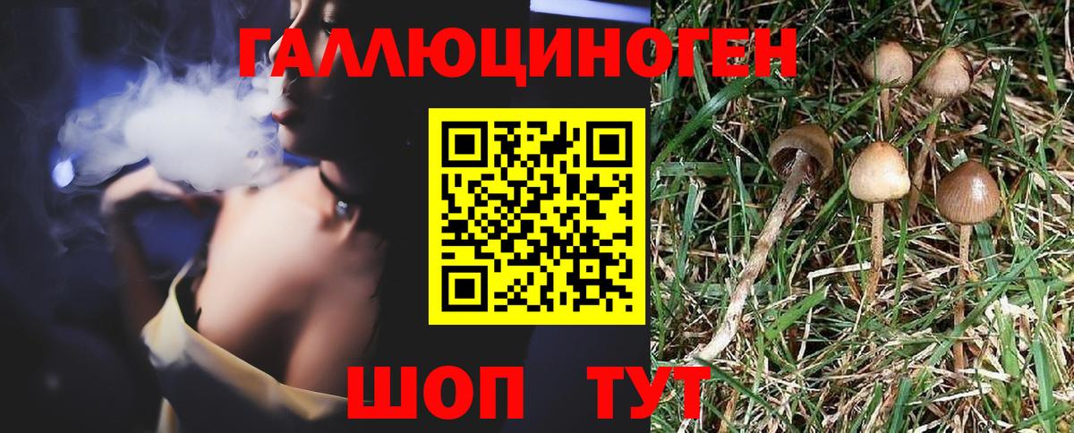 Псилоцибиновые грибы GOLDEN TEACHER Симферополь