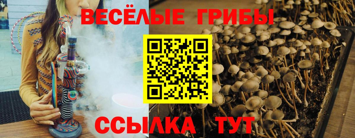 Симферополь  Псилоцибиновые грибы MAGIC MUSHROOMS  Вход с VPN 