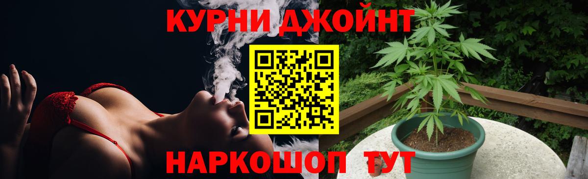 Конопля ГИДРОПОН  Канабис Ganja  Симферополь  Вход с VPN 